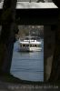 DSC_8358_1a.JPG